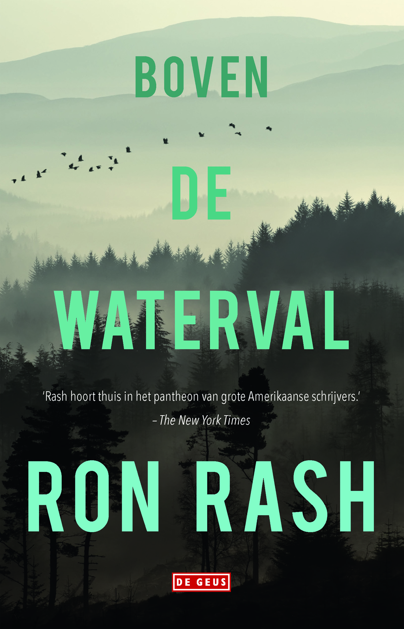 Omslag van Boven de waterval