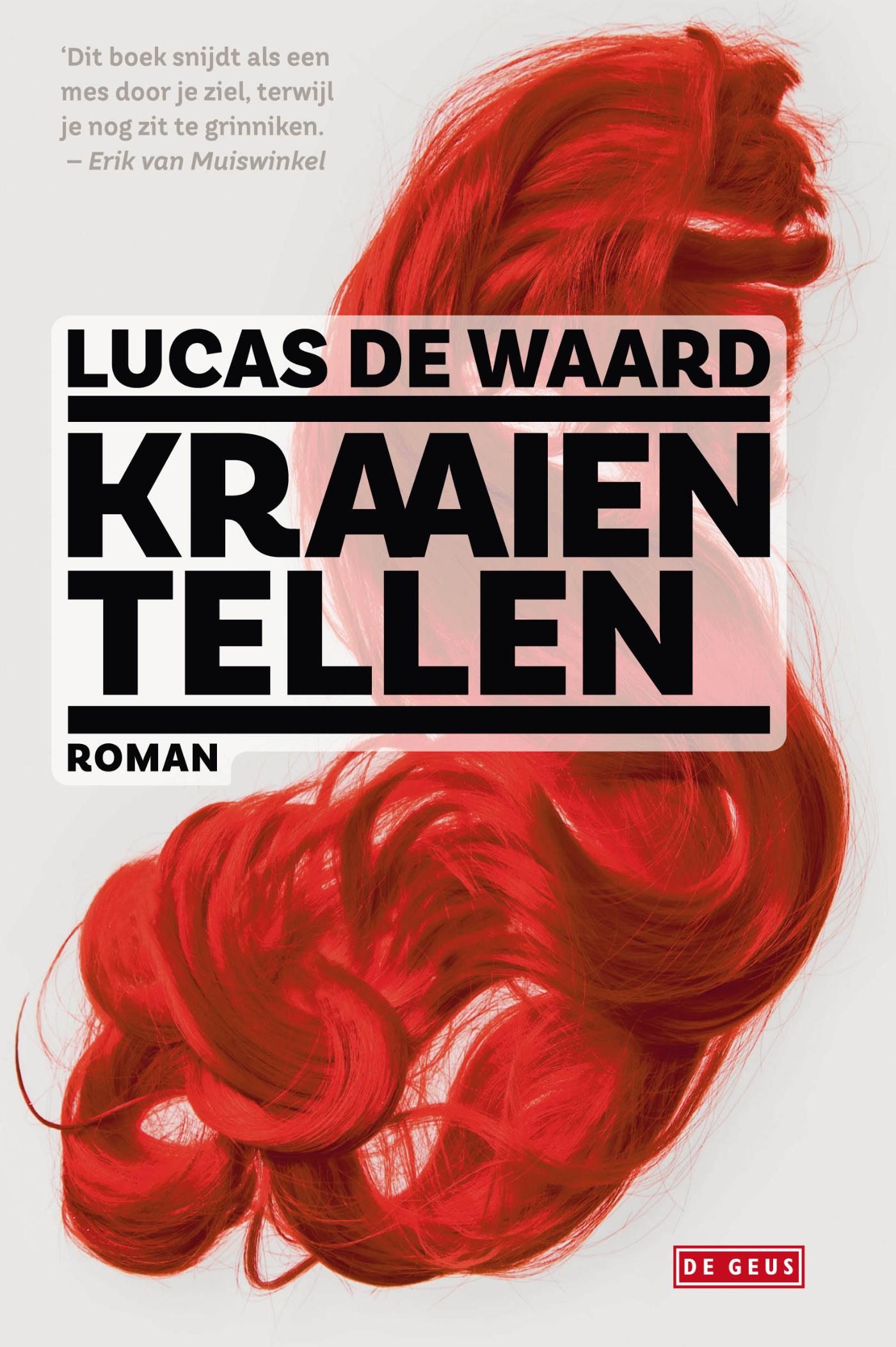 Omslag van Kraaien tellen