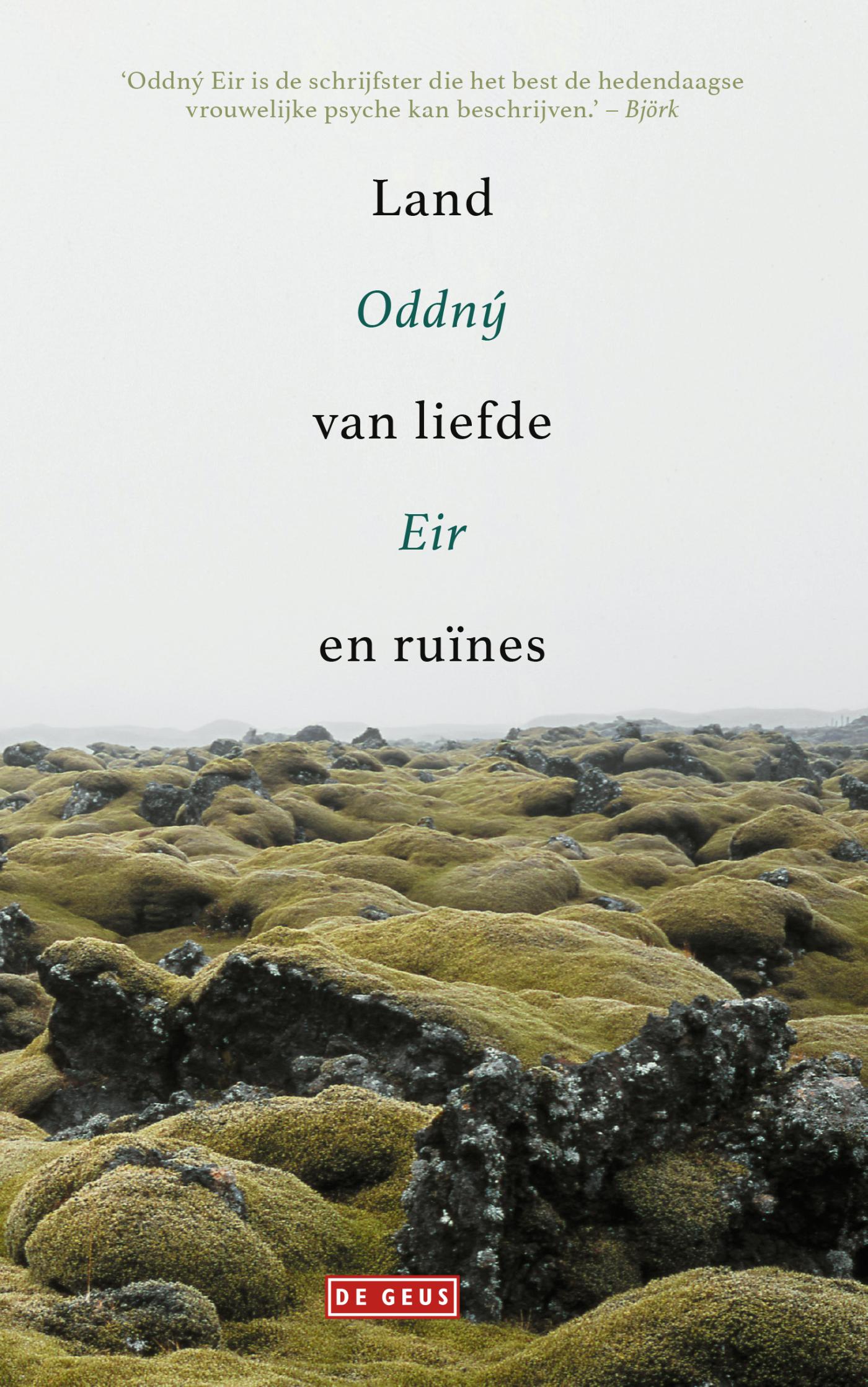 Omslag van Land van liefde en ruïnes