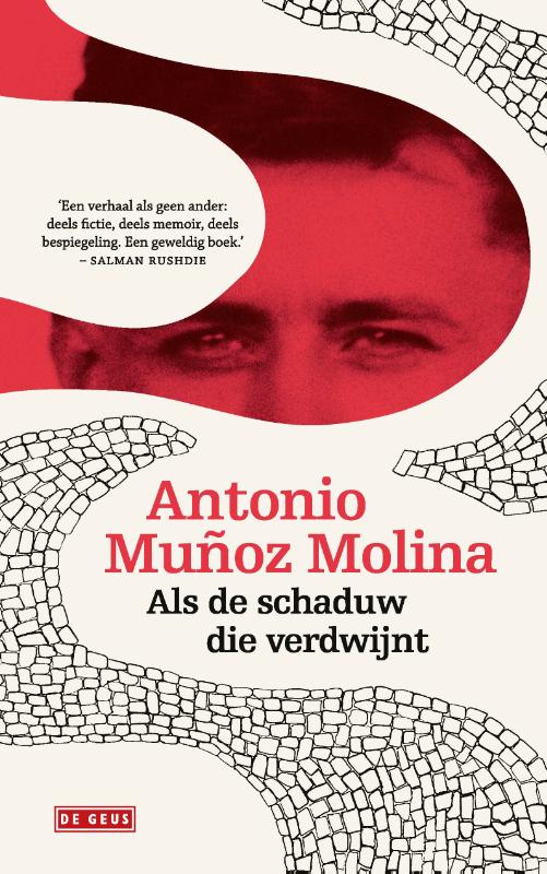 Omslag van Als de schaduw die verdwijnt