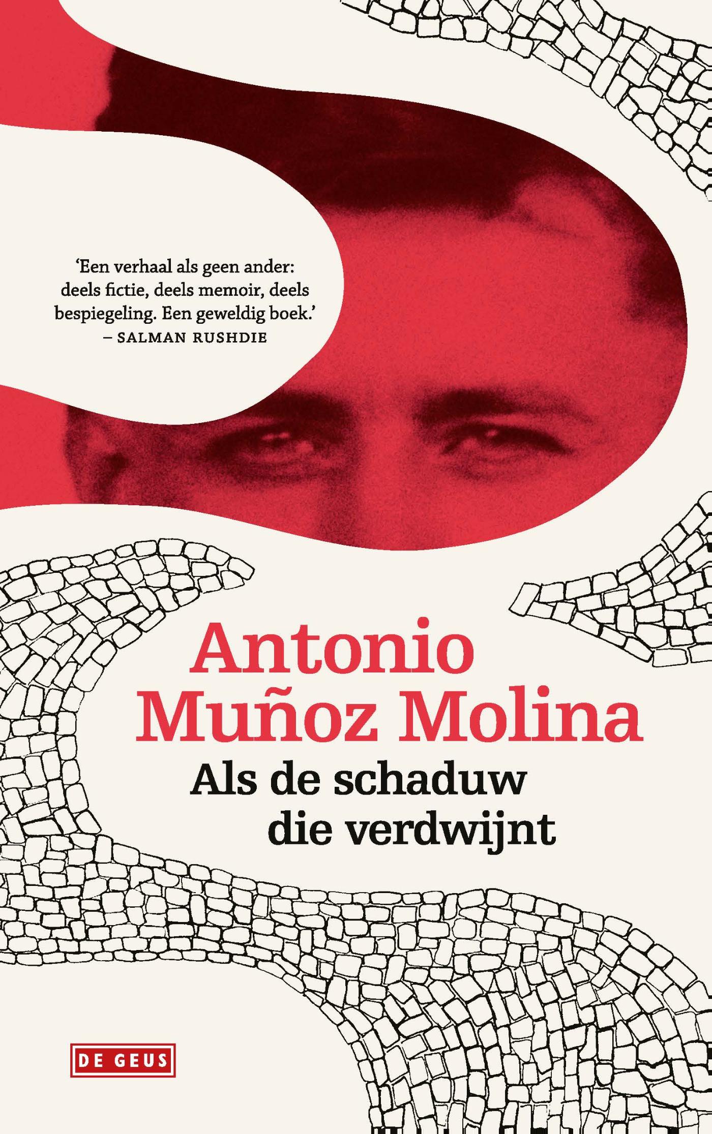 Omslag van Als de schaduw die verdwijnt