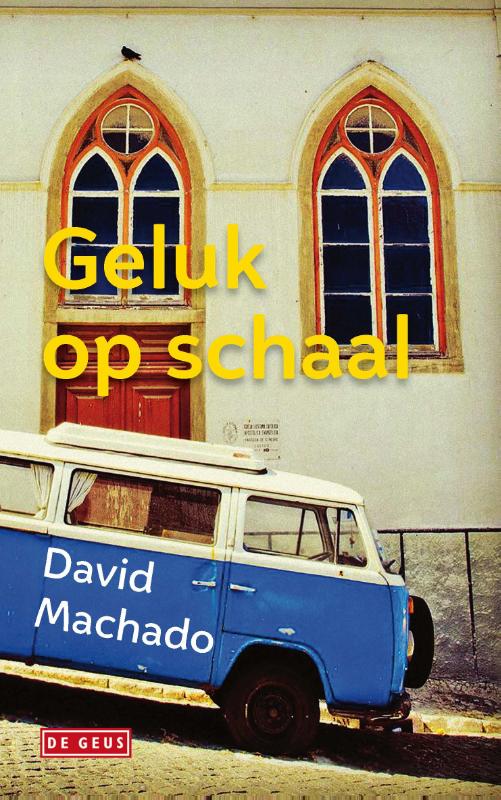 Omslag van Geluk op schaal