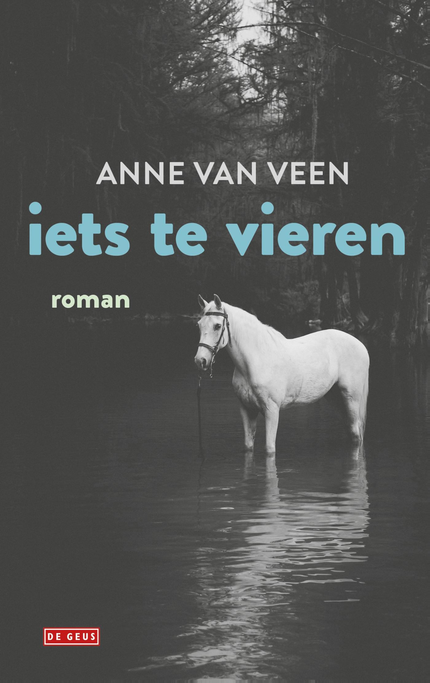 Omslag van Iets te vieren