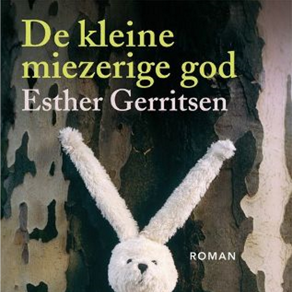 Omslag van De kleine miezerige god