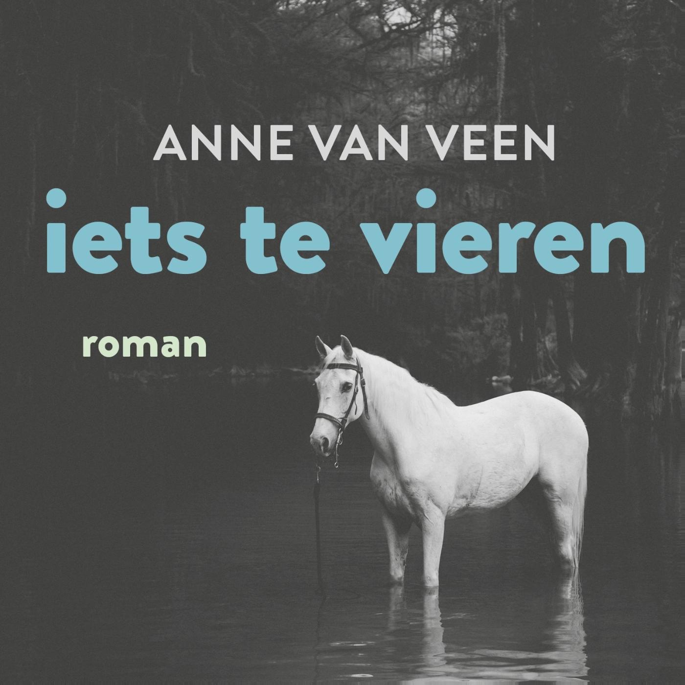 Omslag van Iets te vieren