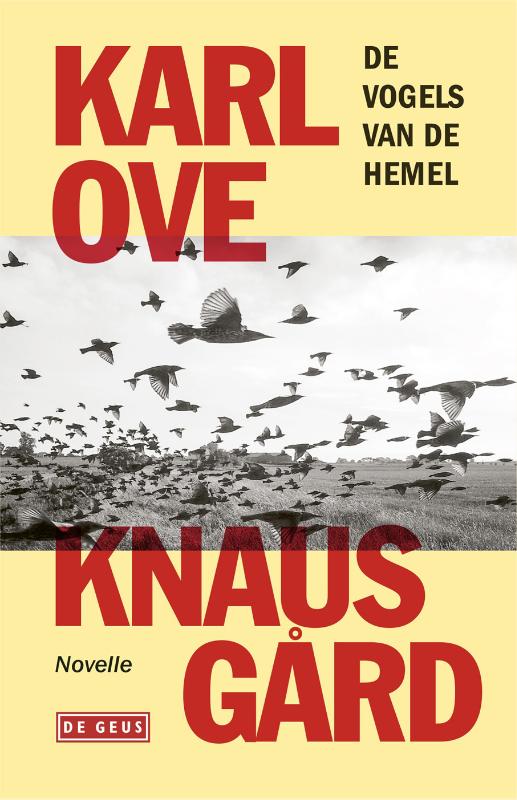 Omslag van De vogels van de hemel