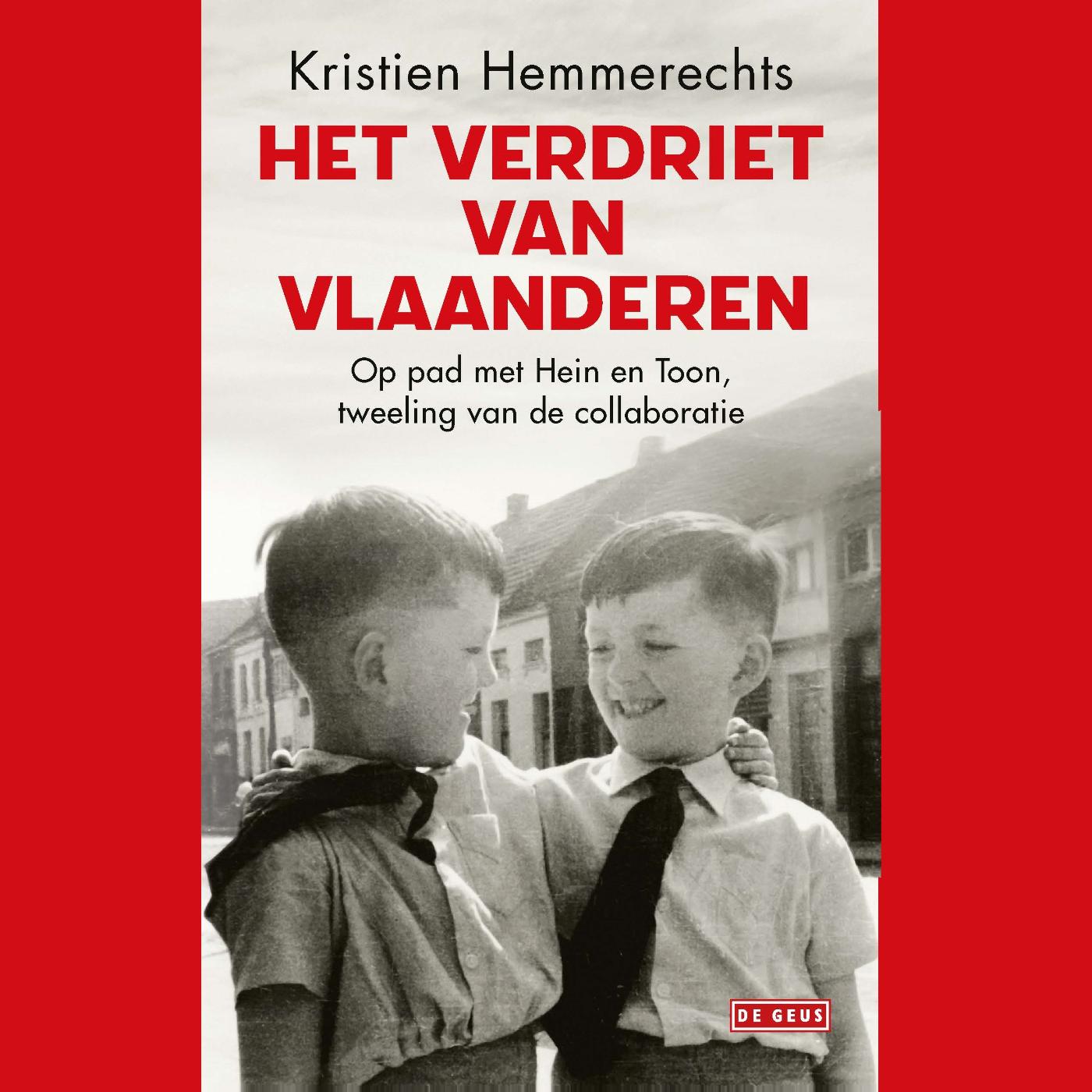 Omslag van Het verdriet van Vlaanderen