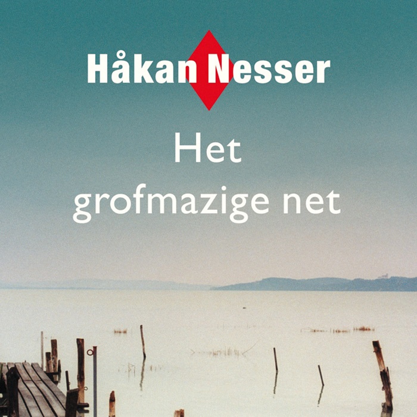 Omslag van Het grofmazige net