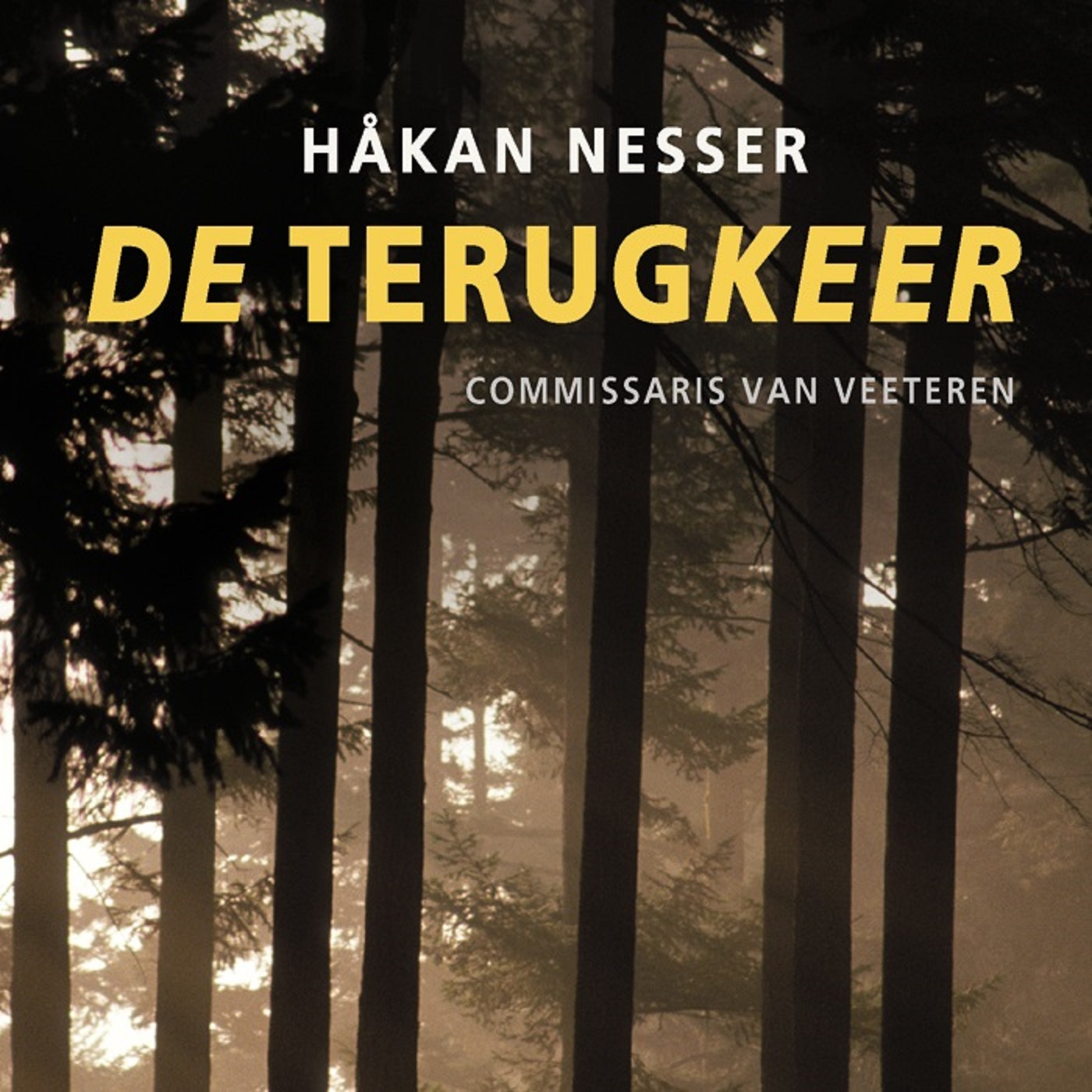 Omslag van De terugkeer