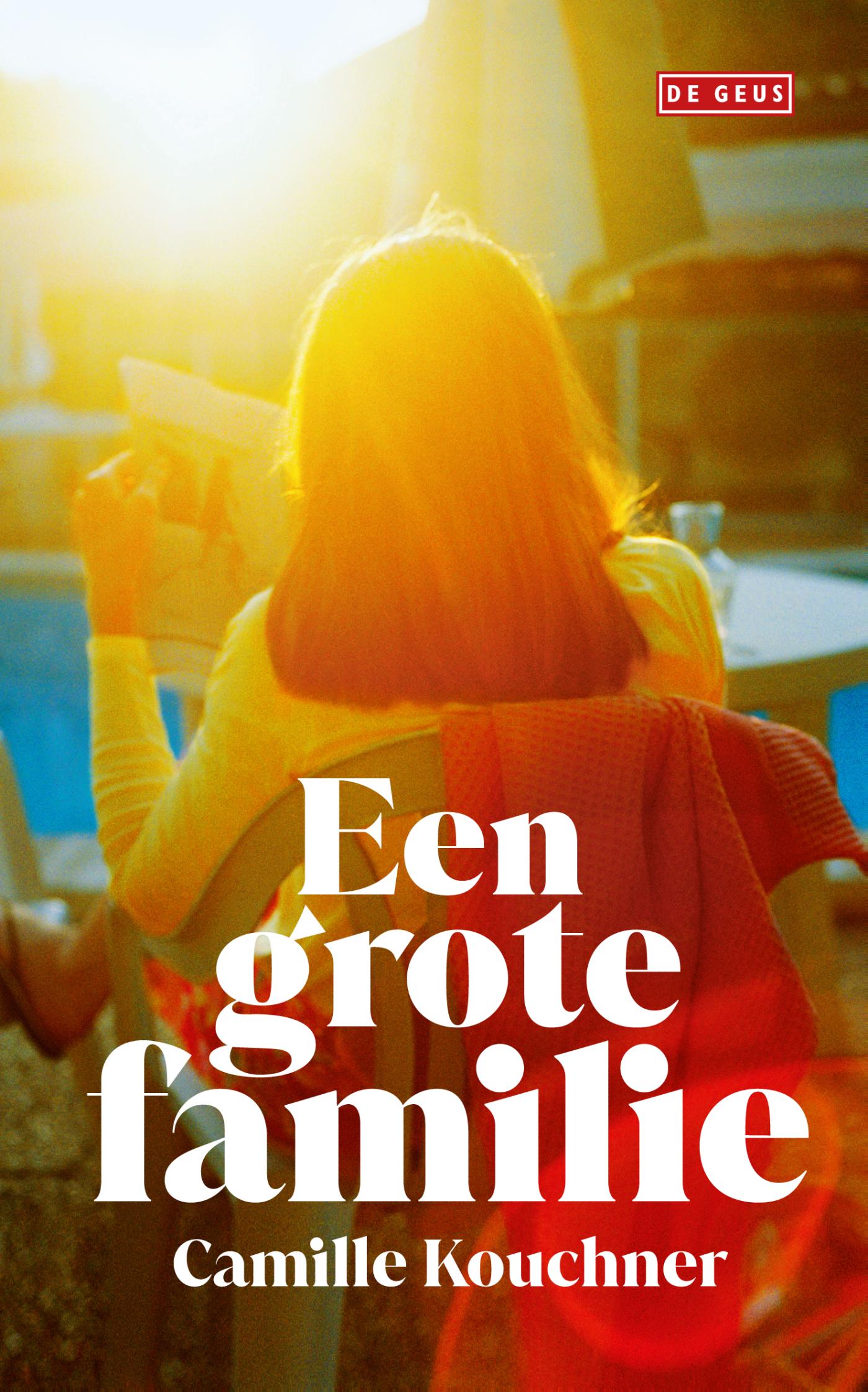 Omslag van Een grote familie