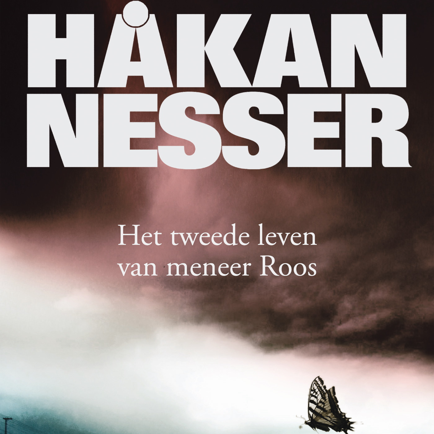 Omslag van Het tweede leven van meneer Roos