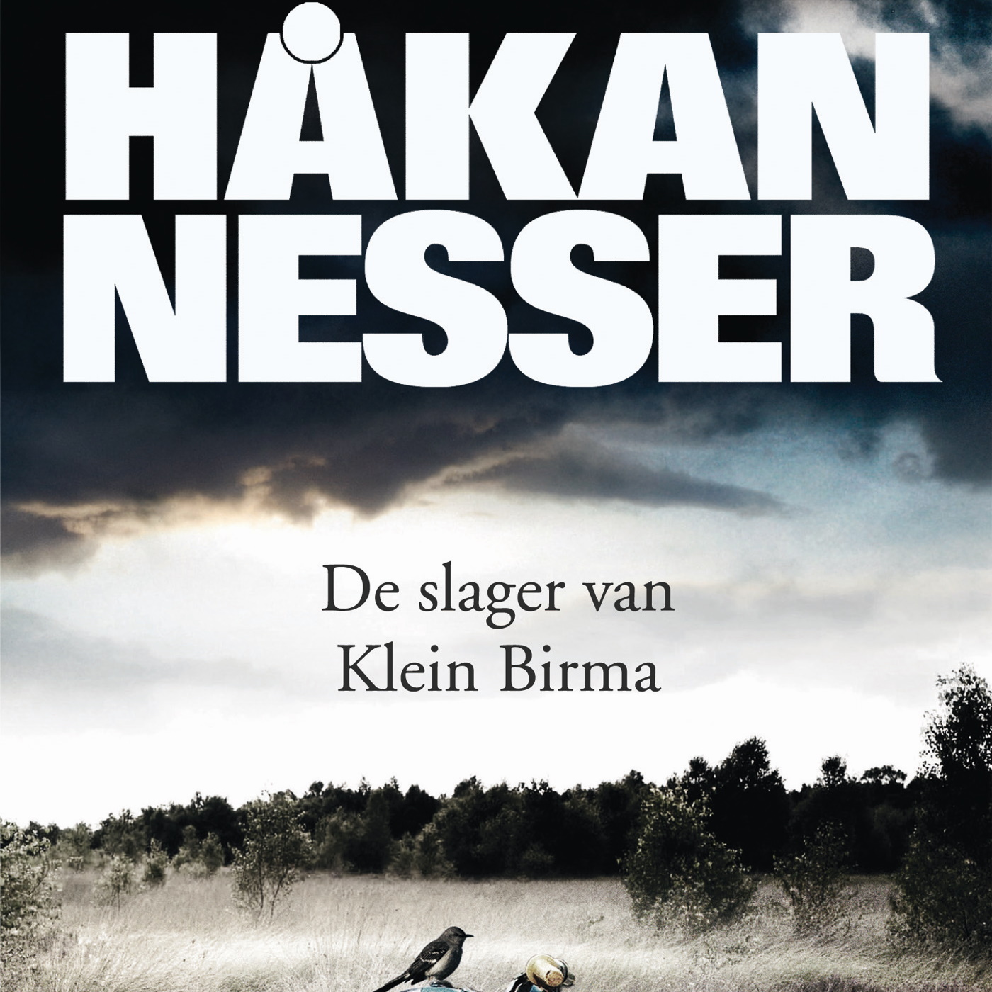Omslag van De slager van Klein Birma