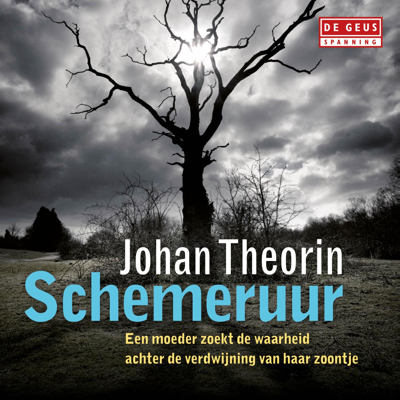 Omslag van Schemeruur