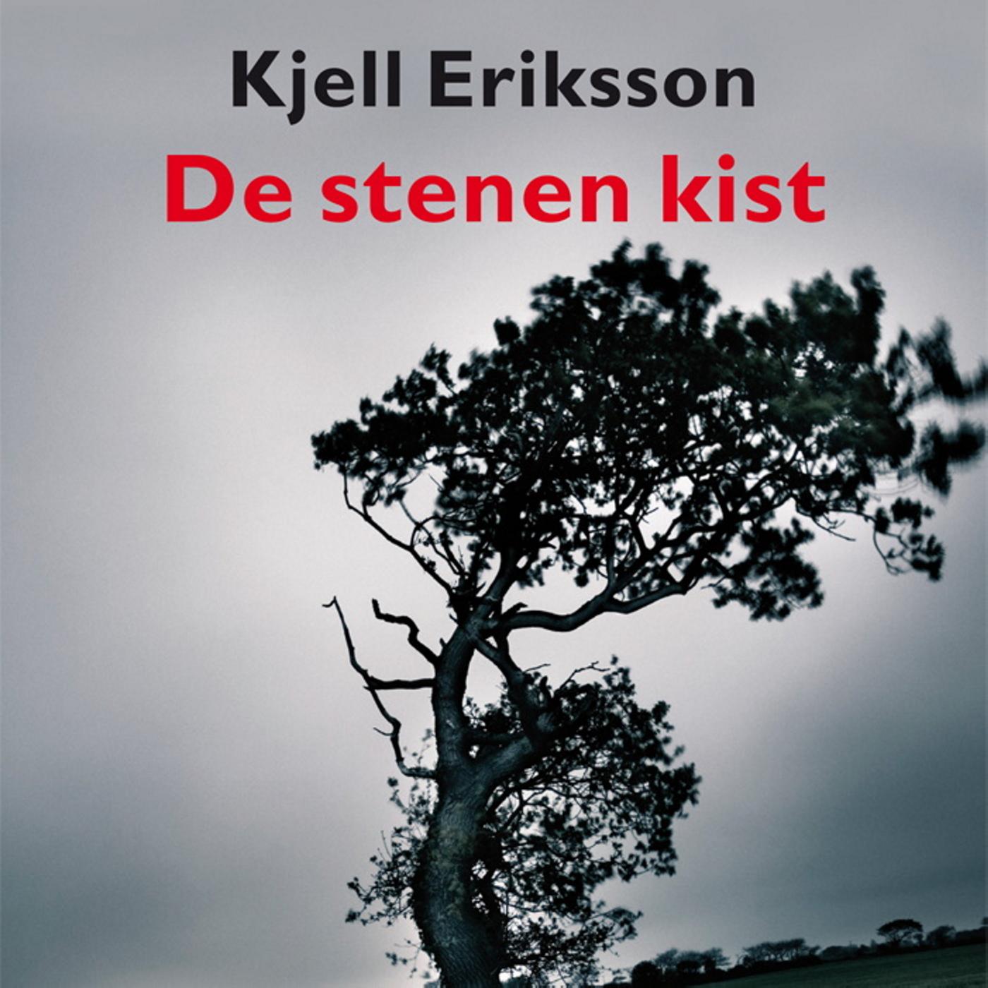 Omslag van De stenen kist