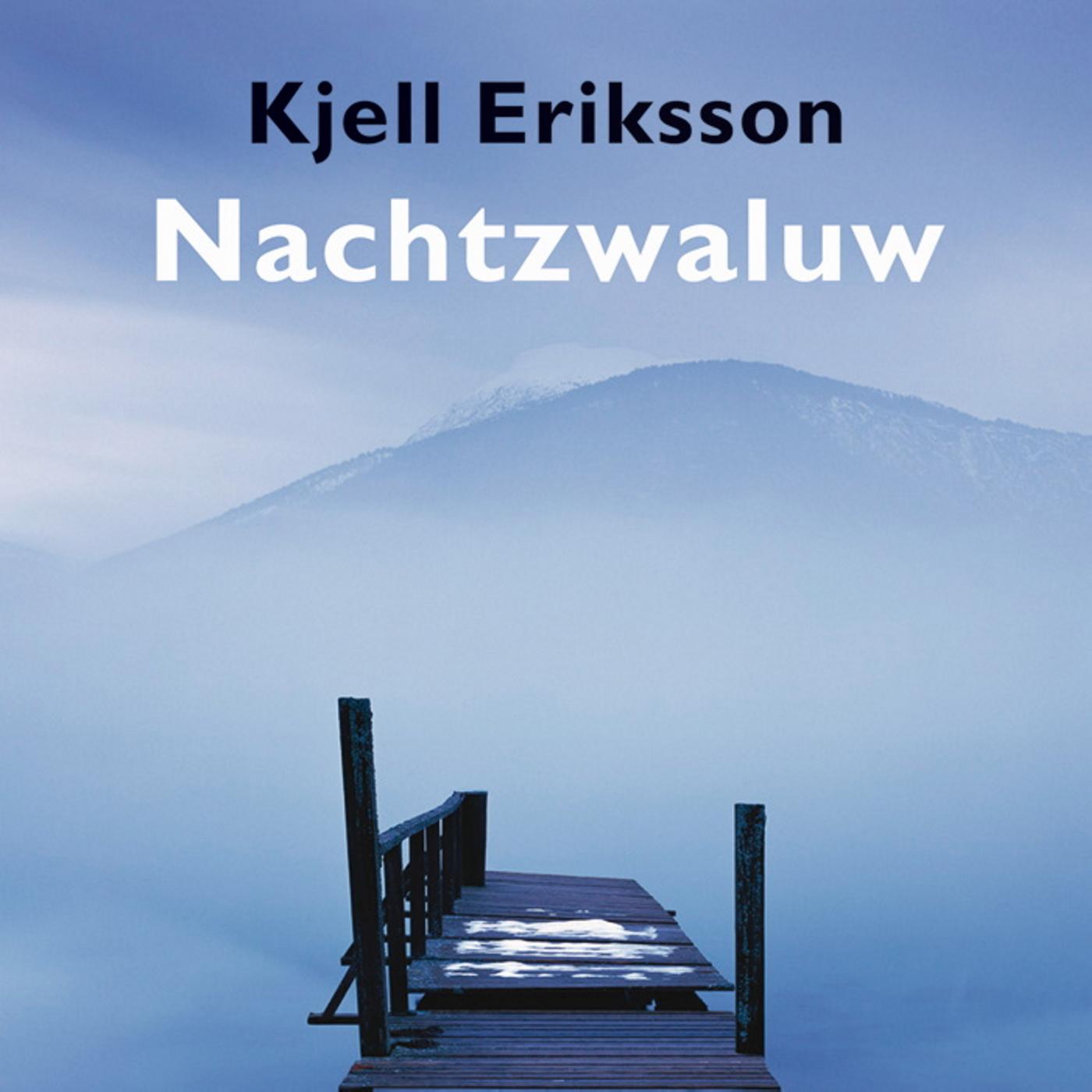 Omslag van Nachtzwaluw