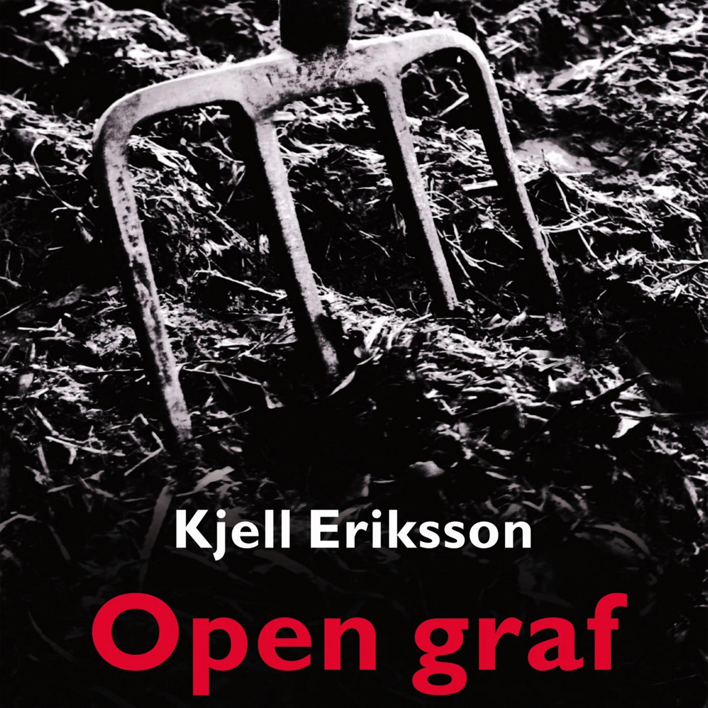 Omslag van Open graf