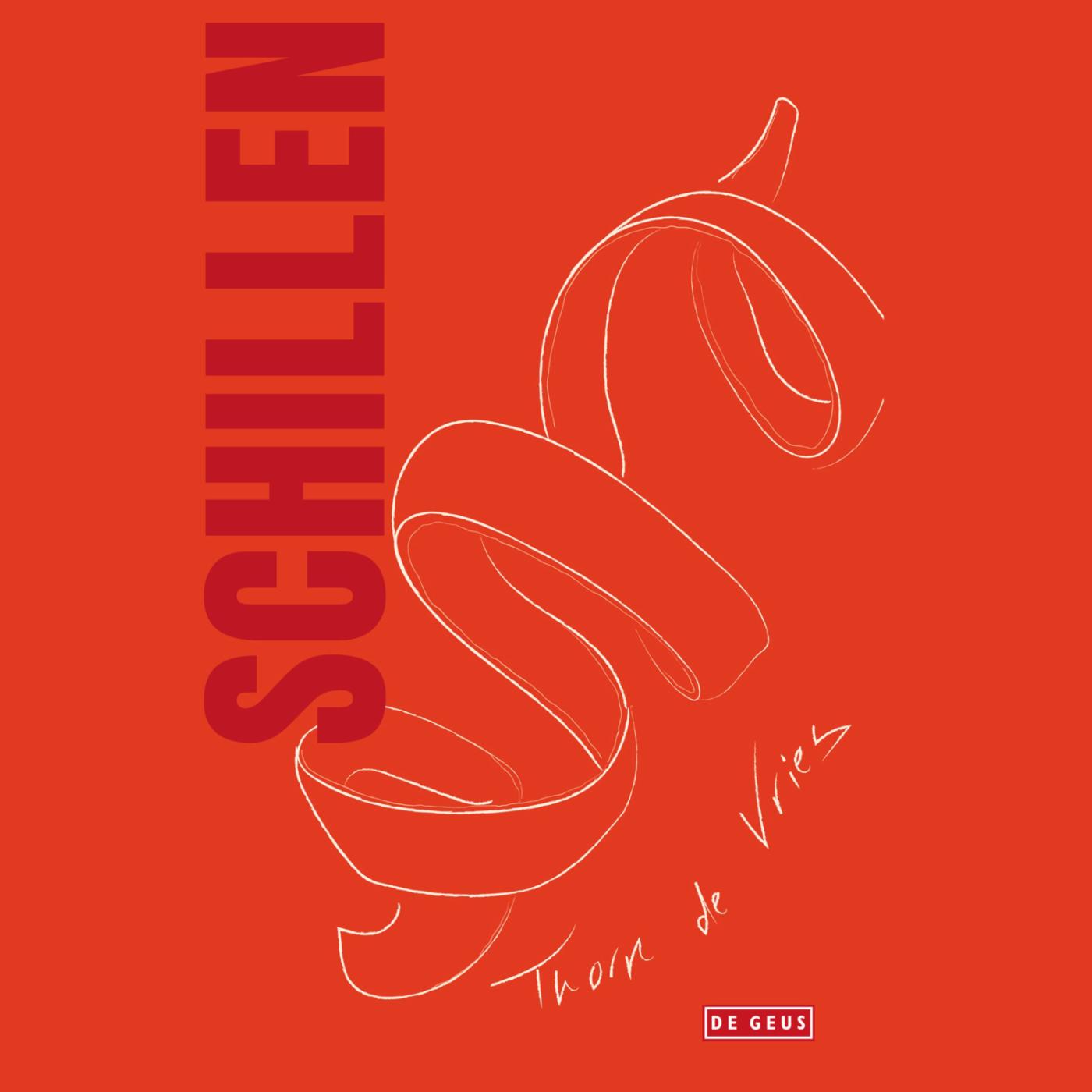 Omslag van Schillen