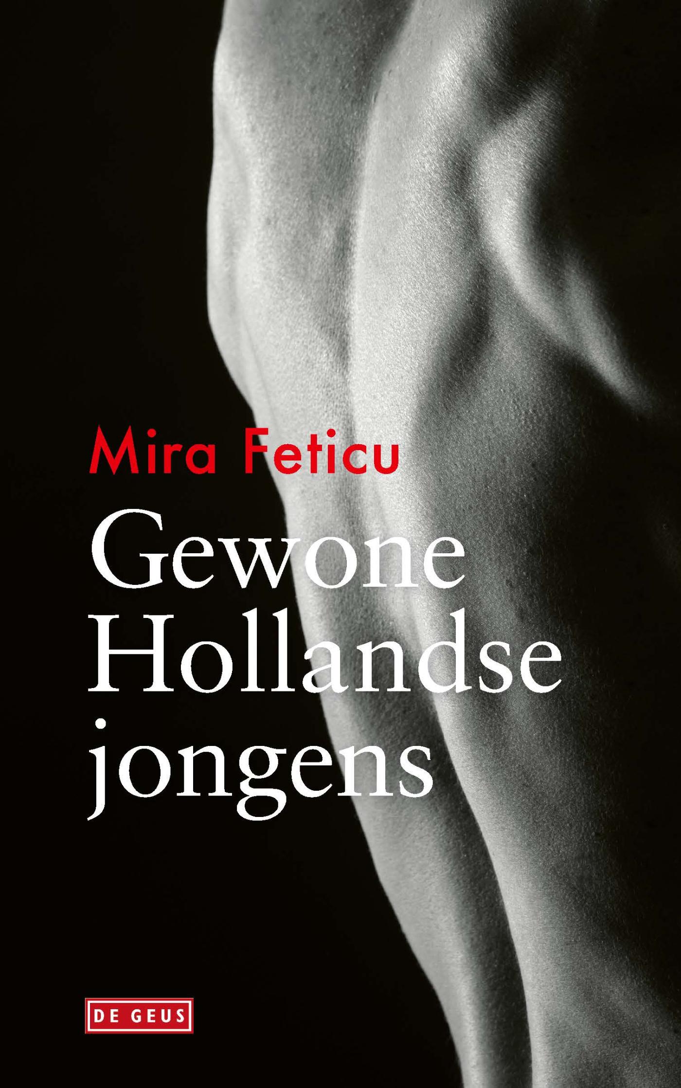 Omslag van Gewone Hollandse jongens