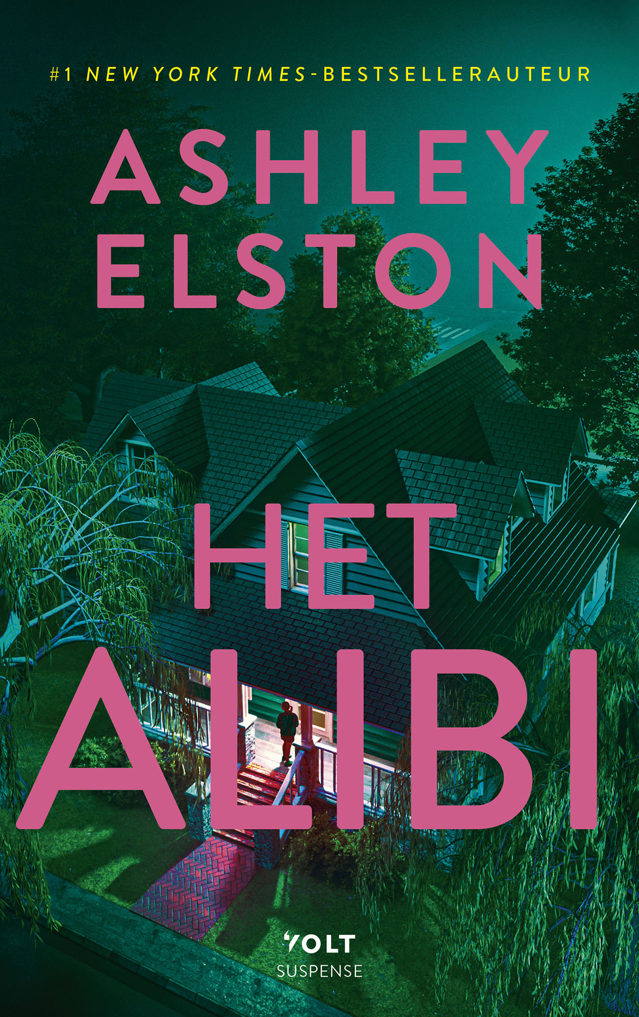 Omslag van Het alibi