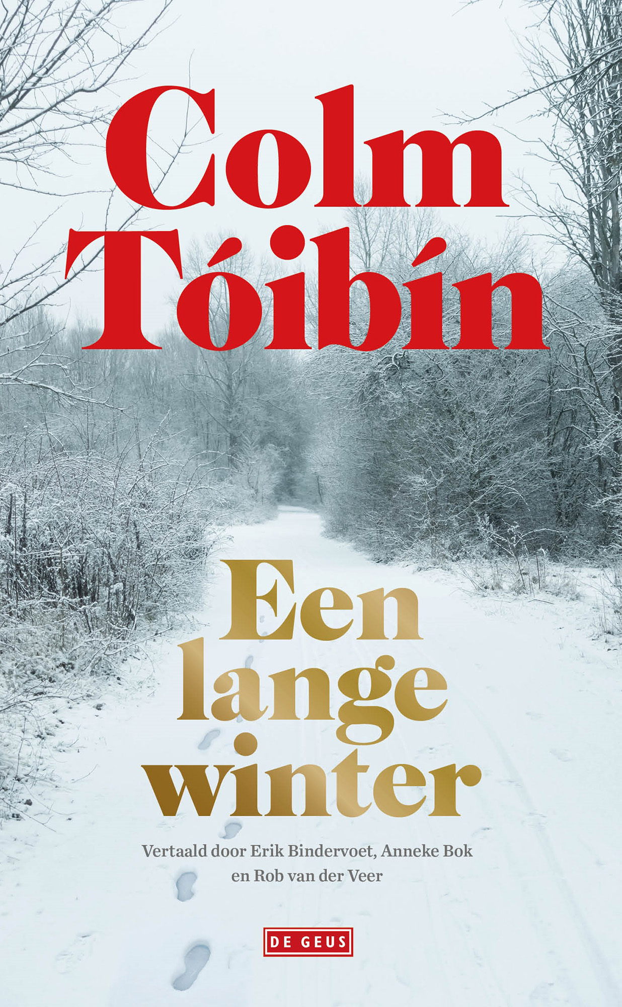 Omslag van Een lange winter