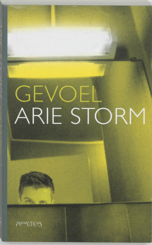 Omslag van Gevoel
