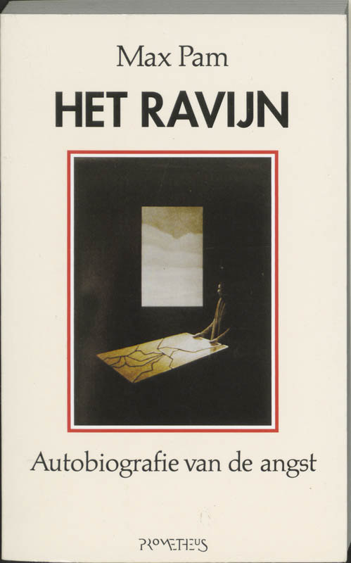 Omslag van Ravijn