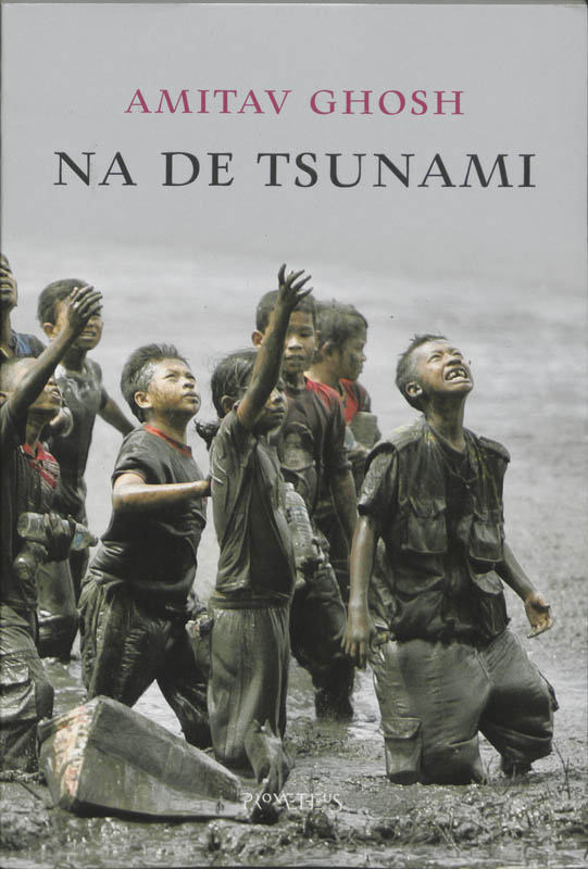 Omslag van Na de tsunami