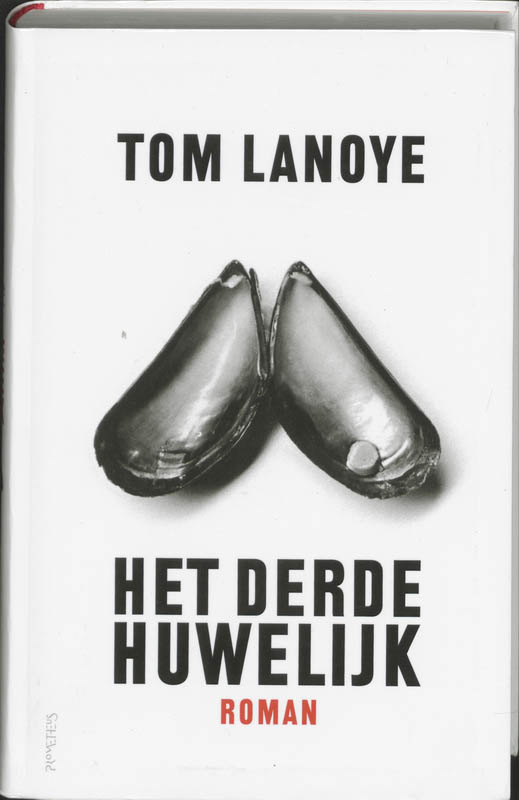 Omslag van Derde huwelijk