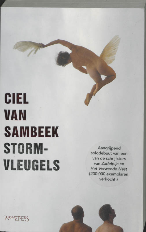 Omslag van Stormvleugels