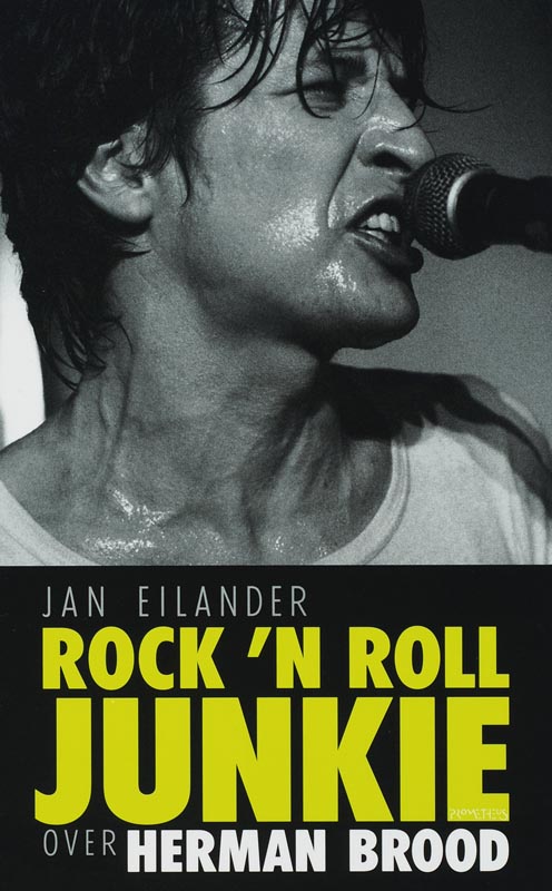 Omslag van Rock 'n roll junkie over Herman Brood