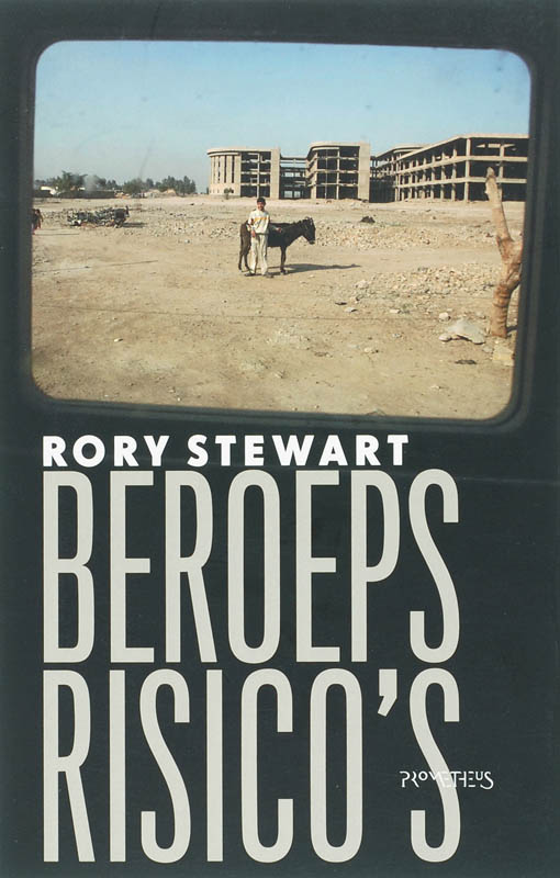 Omslag van Beroepsrisico's