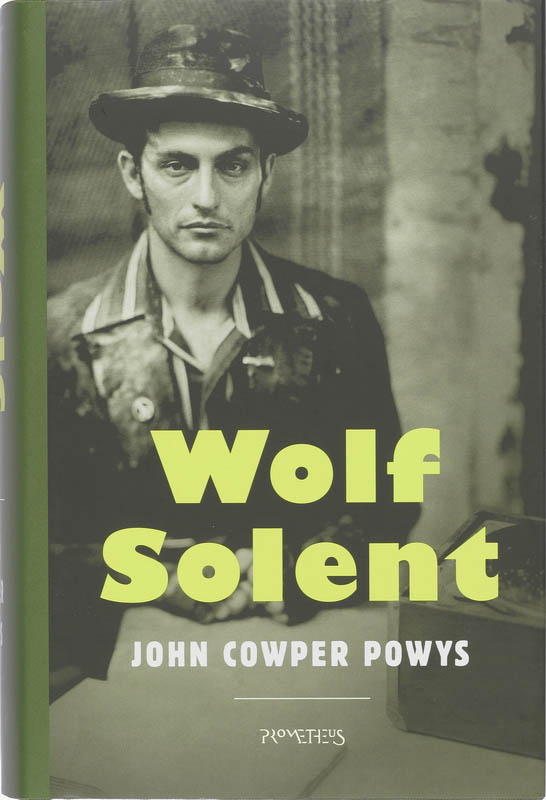 Omslag van Wolf Solent