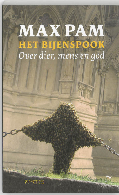 Omslag van Bijenspook