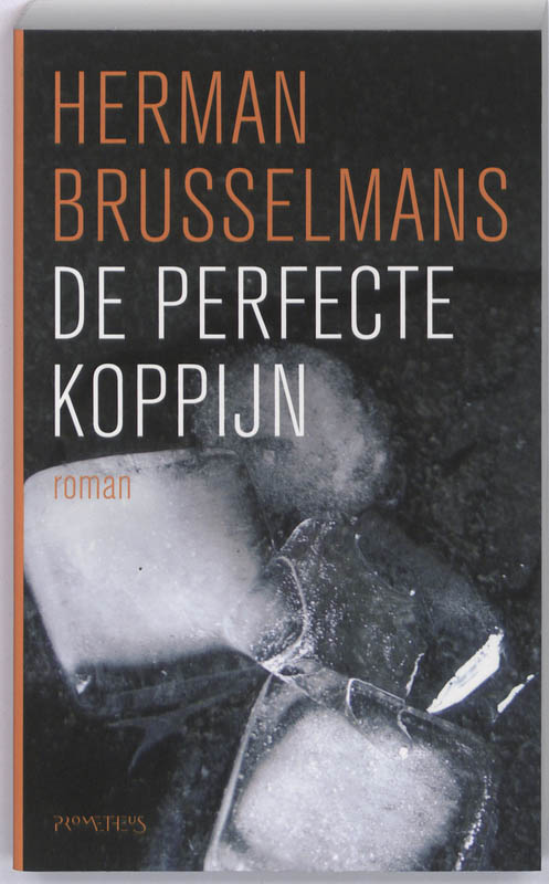 Omslag van De perfecte koppijn