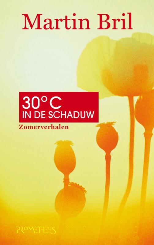 Omslag van Dertig graden in de schaduw