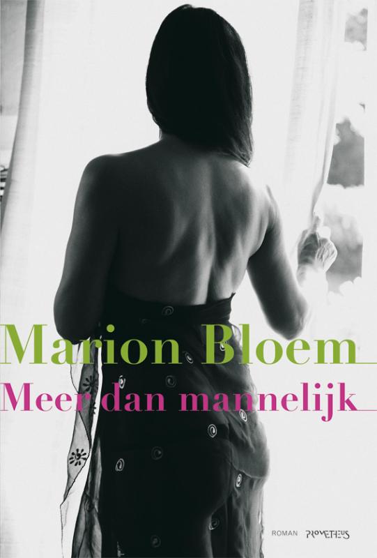 Omslag van Meer dan mannelijk