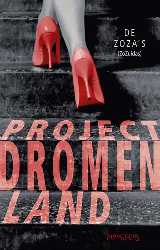 Omslag van Project dromenland