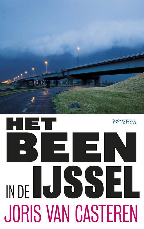 Omslag van Het been in de IJssel