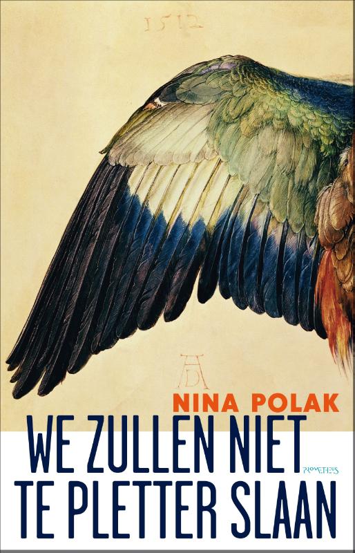 Omslag van We zullen niet te pletter slaan