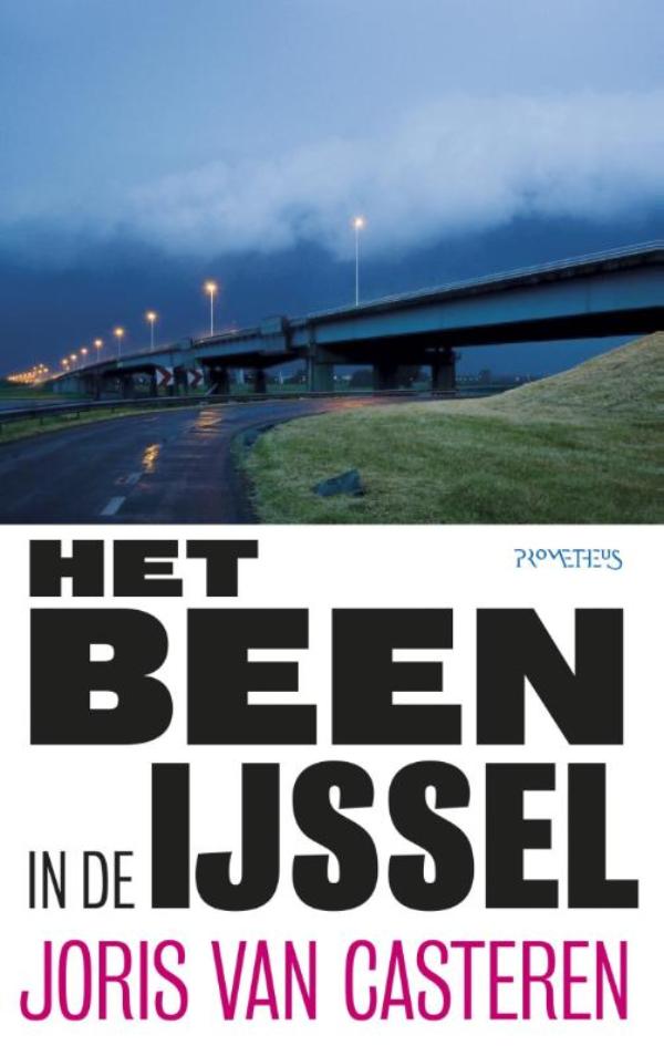 Omslag van Het been in de IJssel