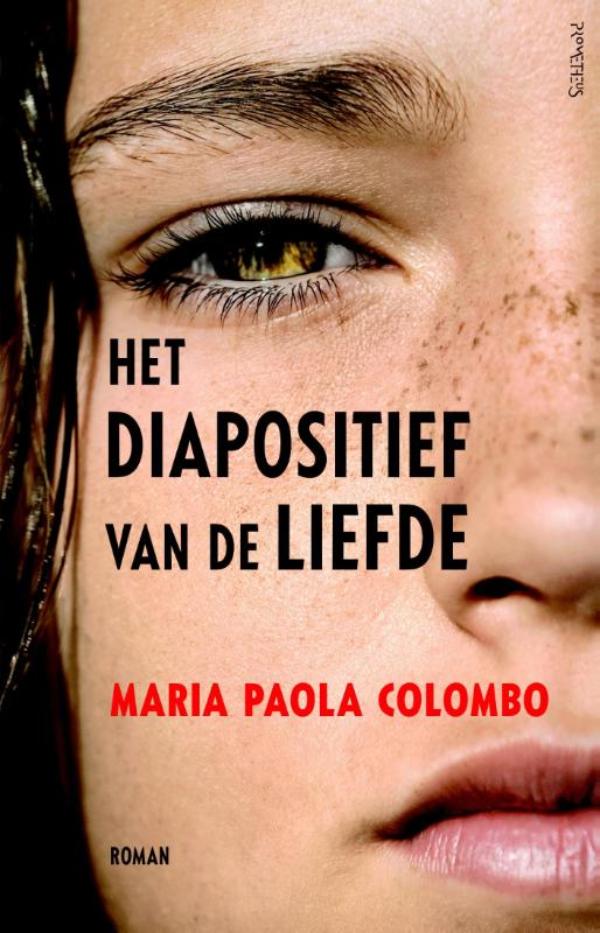 Omslag van Het diapositief van de liefde
