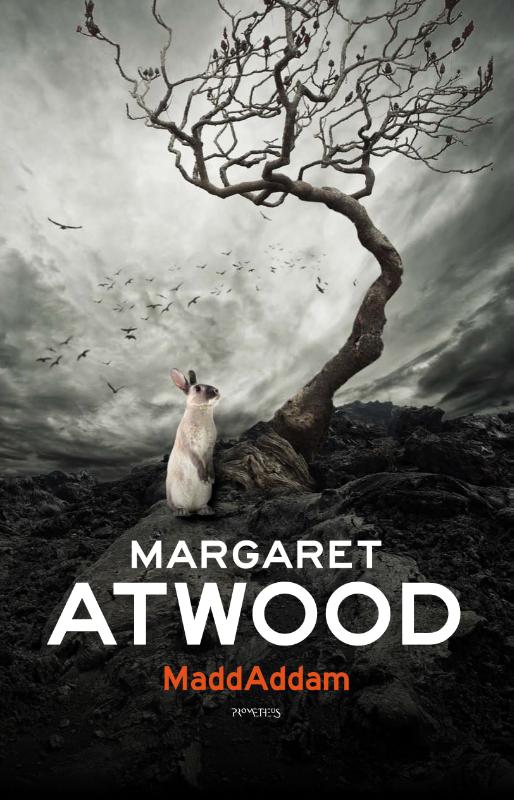 Omslag van Maddaddam