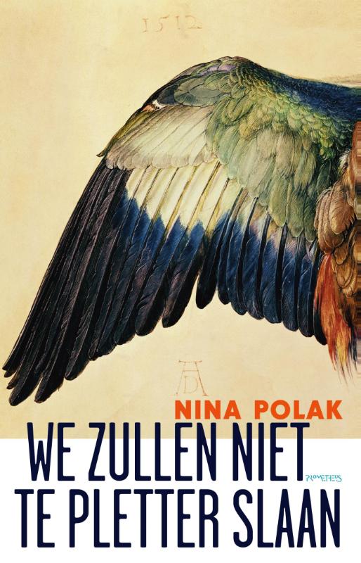 Omslag van We zullen niet te pletter slaan
