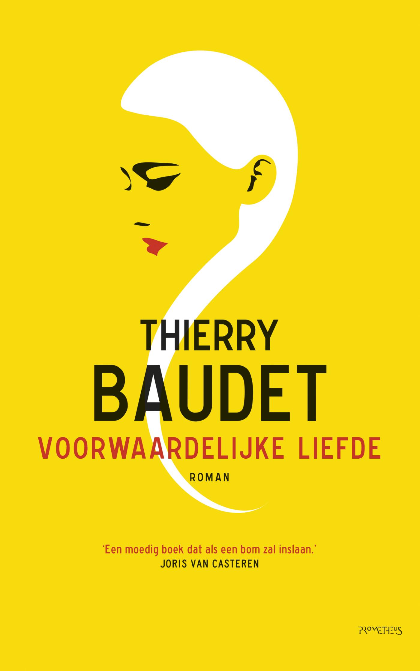 Omslag van Voorwaardelijke liefde