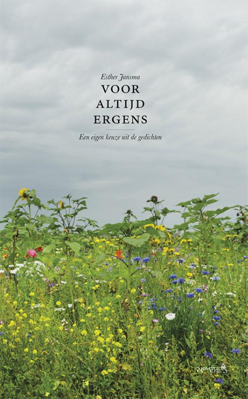 Omslag van Voor altijd ergens