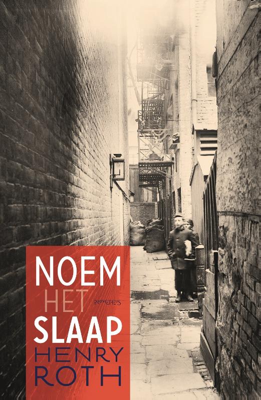 Omslag van Noem het slaap