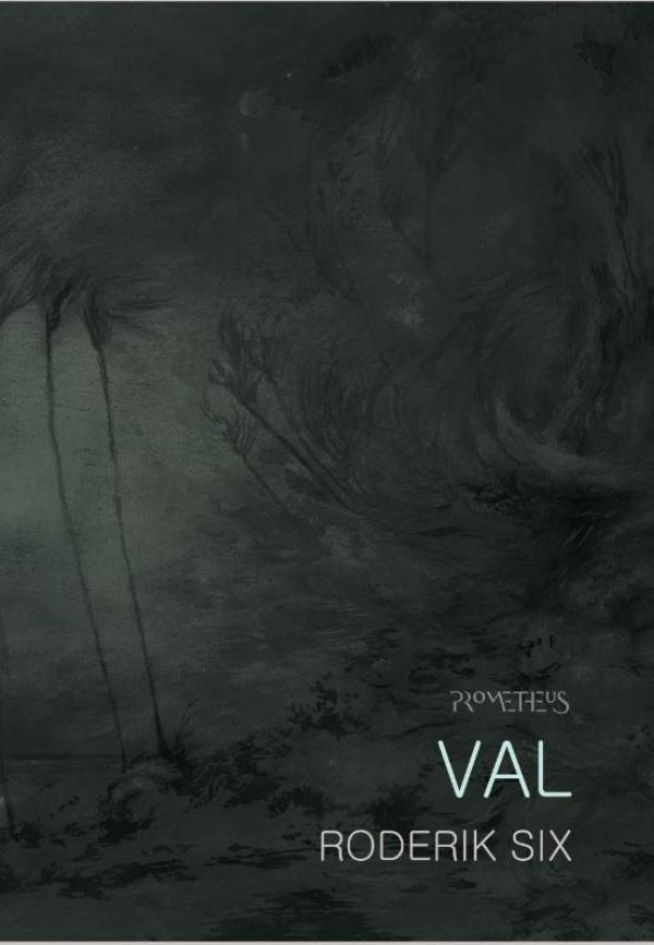 Omslag van Val