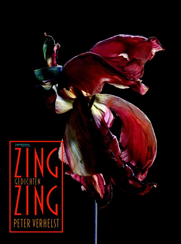 Omslag van Zing Zing