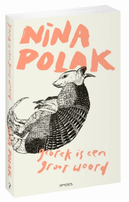 Omslag van Gebrek is een groot woord