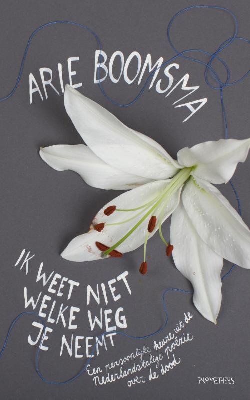 Omslag van Ik weet niet welke weg je neemt